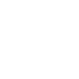 安全